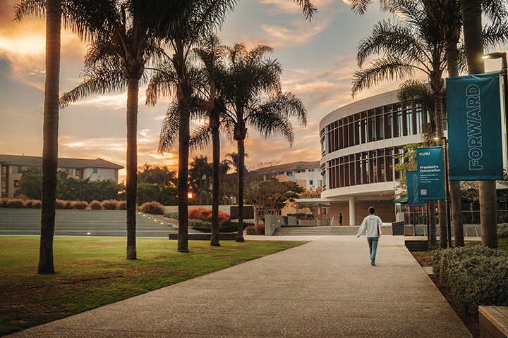 A view of Palm Walk facing in the direction of the William H Hannon Library